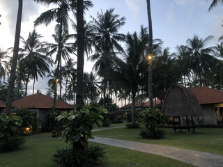 Cottage with coconut tree garden view