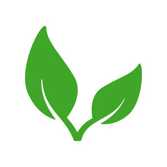 Eco leaf or organic product icon