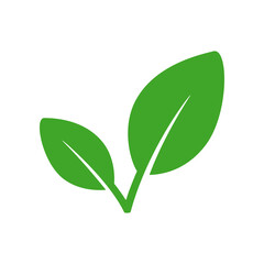 Eco leaf or organic product icon