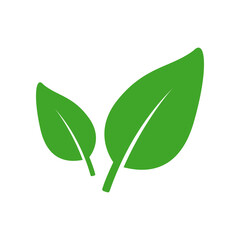 Eco leaf or organic product icon