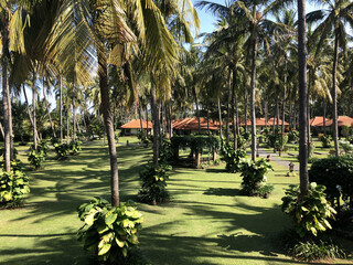 Cottage with coconut tree garden view