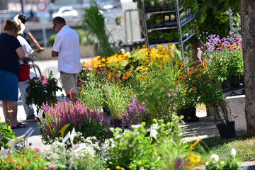 Wöchentlicher Grünmarkt in Gmunden, Oberösterreich, Österreich, Europa