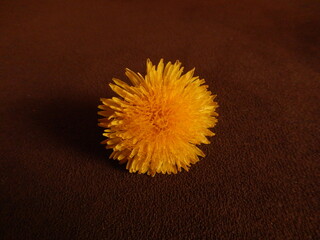 A close up of a dandelion