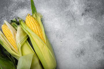 Ripe corn, on gray stone table background, top view flat lay, with copy space for text