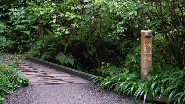 高尾山 大山橋