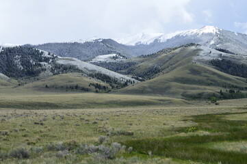 Fototapeta na wymiar Montana Mountains and Meadows