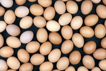 Fresh organic eggs on dark background.