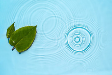 Naklejka na ściany i meble Abstract water background with round ripples and green leaves