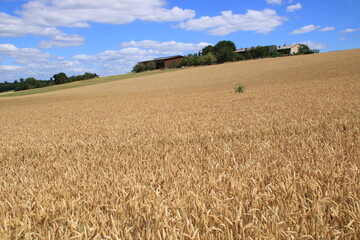 Blick über das Heckengäu bei Weissach auf einen Bauernhof