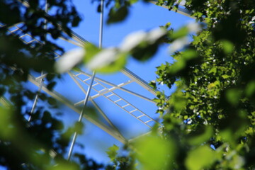 Leiter von einem Riesenrad fotografiert durch einen Rahmen aus Ästen