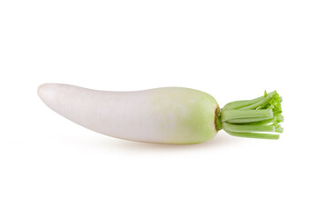 Daikon radishes isolated on a white background