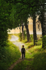 Fototapeta premium walking in the woods