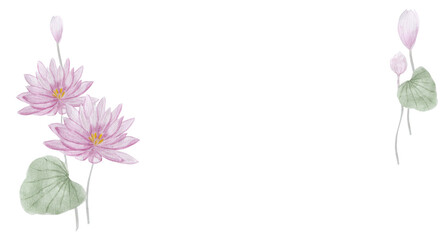 Lotus water lily, placard. Watercolor illustration.