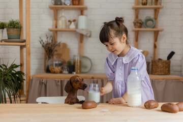 Adorable little girl with a small dachshund drinking milk in the kitchen. space for text, banner