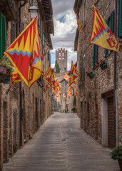 Bandiere pallio Siena - Toscana