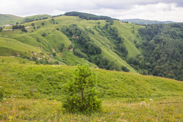 Fototapeta premium Beautiful landscape - panoramic view of the hills and green valley from the Maloe Sedlo mountain in Kislovodsk Russia on a cloudy summer day