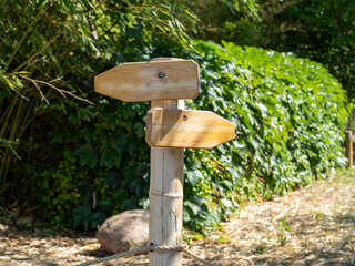 Wooden direction sign in the park. Wooden sign.