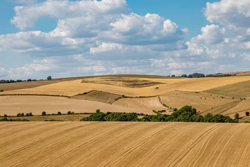Fotobehang Golden fields in the South Downs, during a hot, dry summer © lemanieh