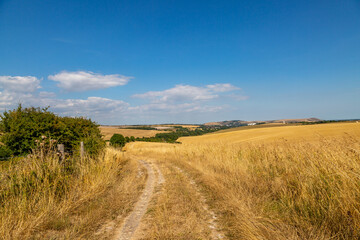 Fototapeta na wymiar A rural South Downs view during a hot and dry summer