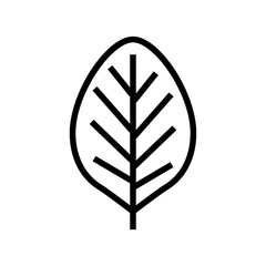 teak leaf line icon vector. teak leaf sign. isolated contour symbol black illustration