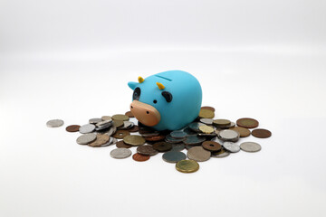 나의 파란색 캐시카우 저금통