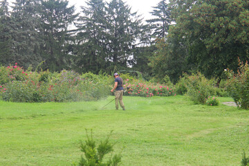 seasonal cleaning in the botanical garden