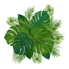 Summer tropical background with green palm leaves
