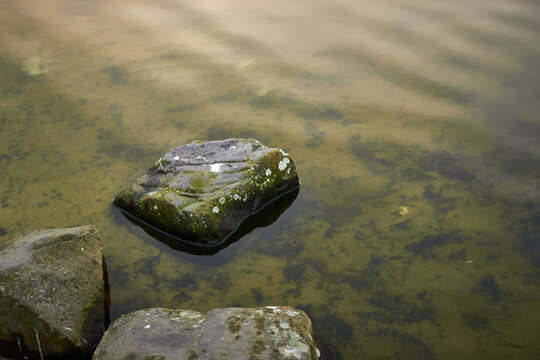 Single medium sized mossy rock poking out of still water over sandy