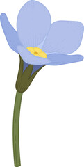 Blue forget me not flower hand drawn illustration.