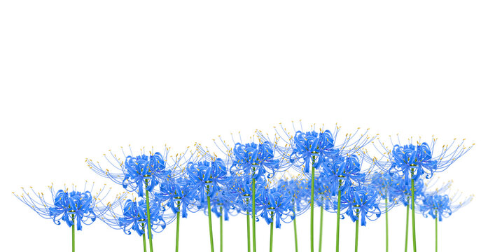 リアルイラスト Images Browse 1 975 Stock Photos Vectors And Video Adobe Stock