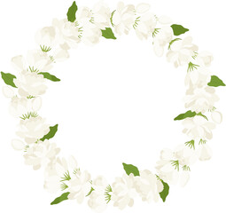 Wreath of jasmine flower illustration.