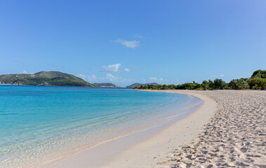 beach with trees