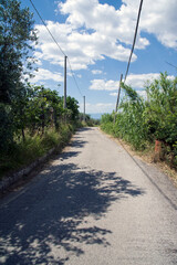 Road along the hills nearby Sant&rsquo;Agata dei Goti, Benevento, Italy.