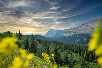 Smoky or smokey haze caused by wildfires over mountains and flower fields at sunset in Glacier...