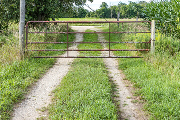 Fototapeta na wymiar A farm lane leading to a metal gate and a road in the summer.