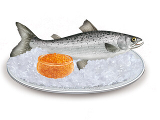 poisson, oeuf de saumon,  luxe, aliment, frais, fruits de mer, pêche, mer, sain, ailette, argent, attraper, repas, brasserie, plateau, glace pilé, 