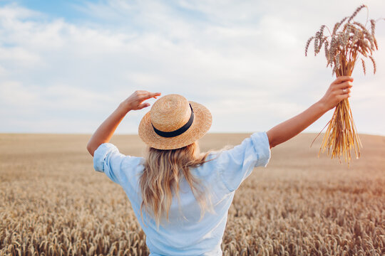 Back view of happy woman feeling free walking in summer field holding wheat bundle raising arms. Freedom and harmony