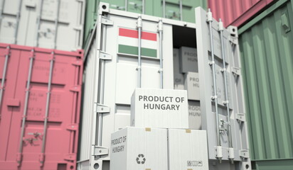 Boxes with goods from Hungary and cargo containers. National economy related conceptual 3D rendering