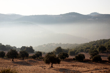 Ajloun, Jordan : Clouds close to the ground between the mountains and Ajloun Castle