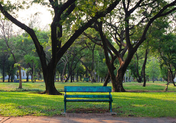 Beautiful Natural view - Bench big trees and green grass in the park - Bangkok in Thailand