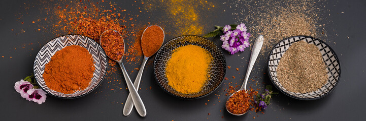 Küchengewürze Panoramaaufnahme mit Löffeln und Schälchen