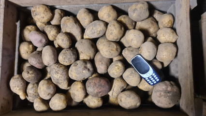 nice big sandy potatoes in a box compared to a mobile phone