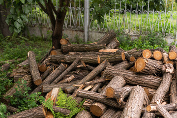 Cut tree logs stacked together outdoors against green bushes, packed neat pile after being chopped in the process of deforestation in forest. Logging causing environmental damage and loss of habitat