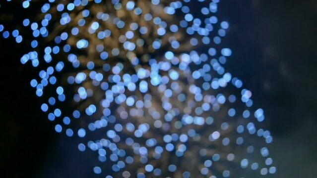 abstract blurred fireworks birthday holiday salute divrsity, night carnival firework on dark black sky, firecracker wedding celebration, modern entertainment