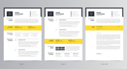 Professional Resume or CV and Cover Letter Template