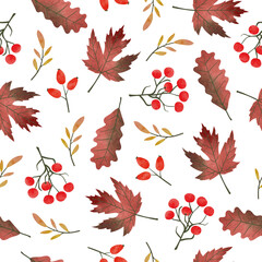 Fototapeta premium Autumn leaves and berries pattern. Vector watercolor fall season background.