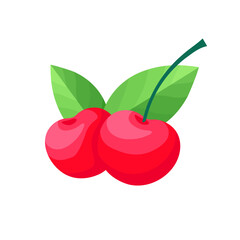 Two cherries with leaves. Cherry cartoon vector illustration. Two Isolated cherries drawing on white background.	
