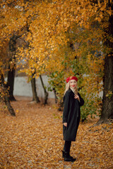 Beautiful woman in autumn park. Outdoor portrait. Woman portrait.