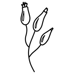 Rosehip berries illustration. Hand-drawn doodles illustration.
Line art. Icon
