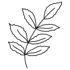 Branch illustration. Hand-drawn doodles illustration.
Line art. Icon